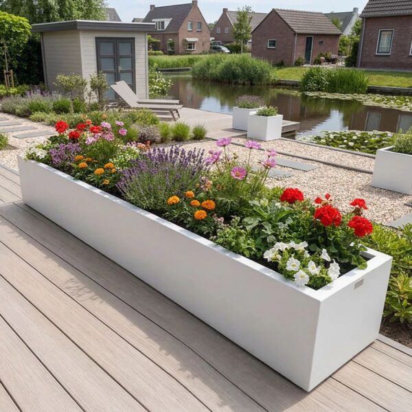 Plantjes